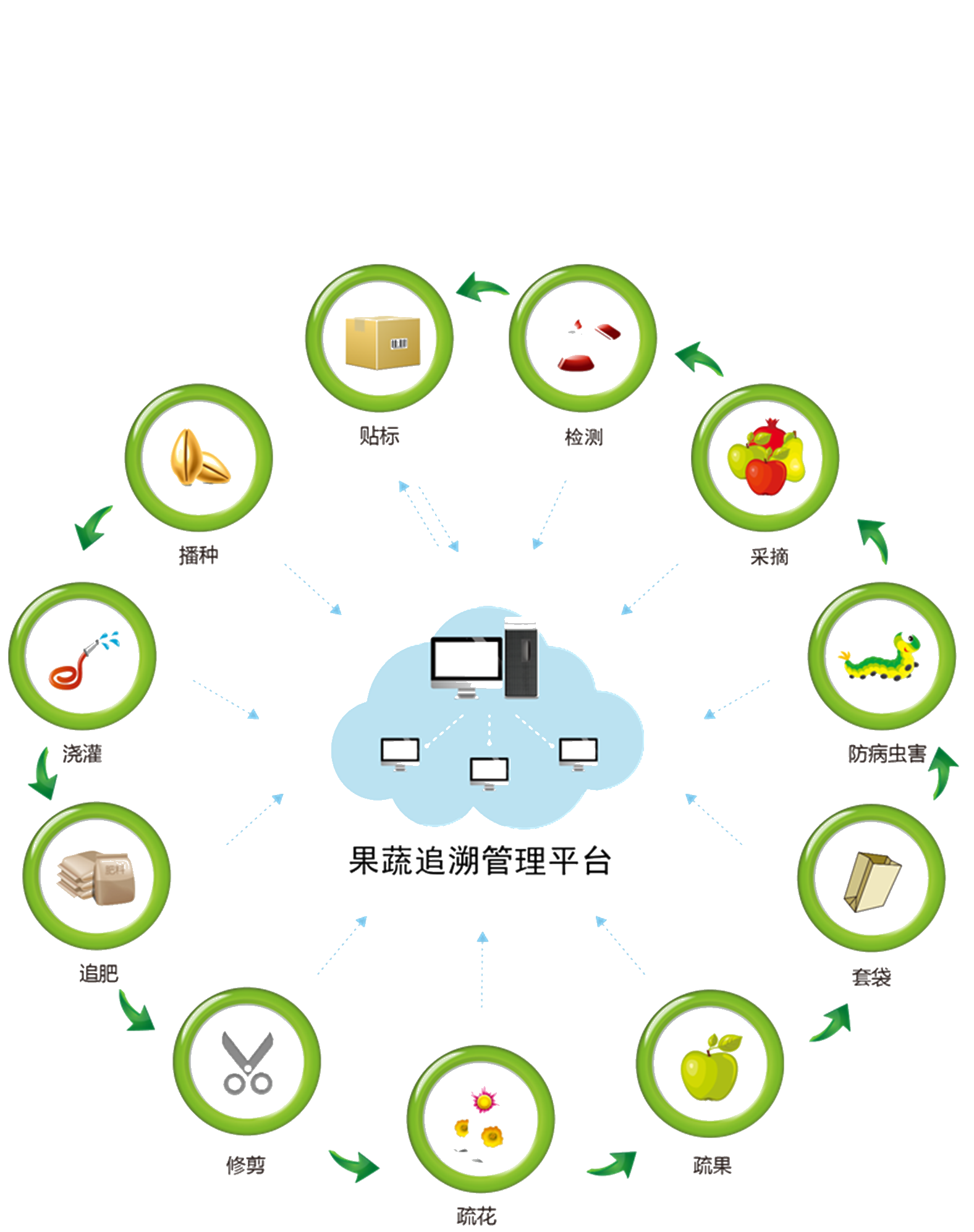 Information Things Of Blockchain Bitcoin According To Transparent PNG Image