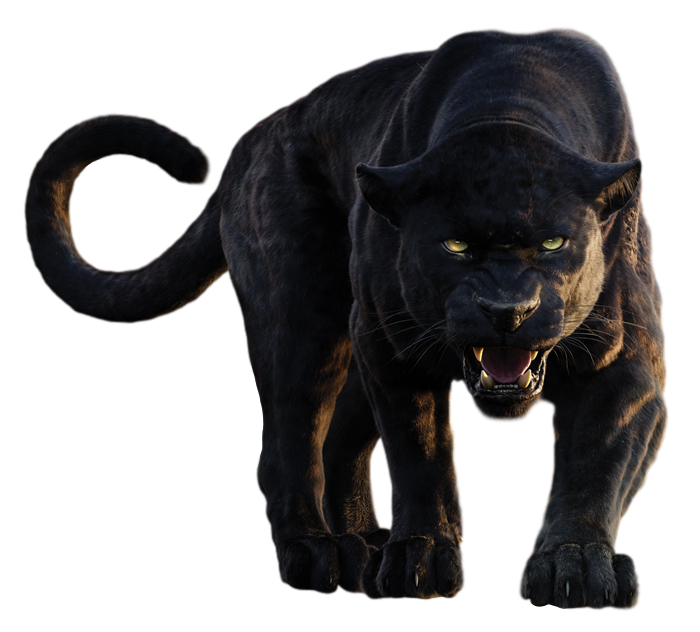 Khan Baloo Bagheera Panther Shere Book Black Transparent PNG Image