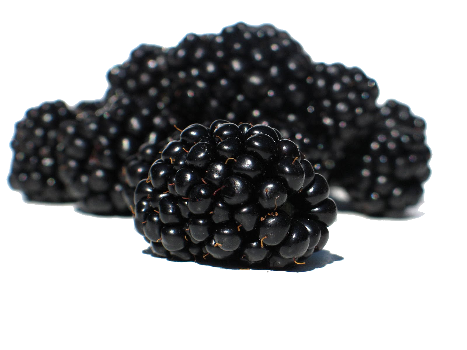 Blackberry Fruit Png Transparent PNG Image