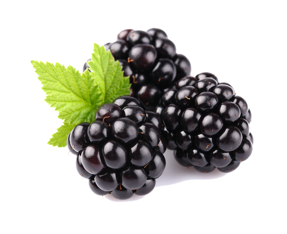 Blackberry Fruit Free Download Png Transparent PNG Image