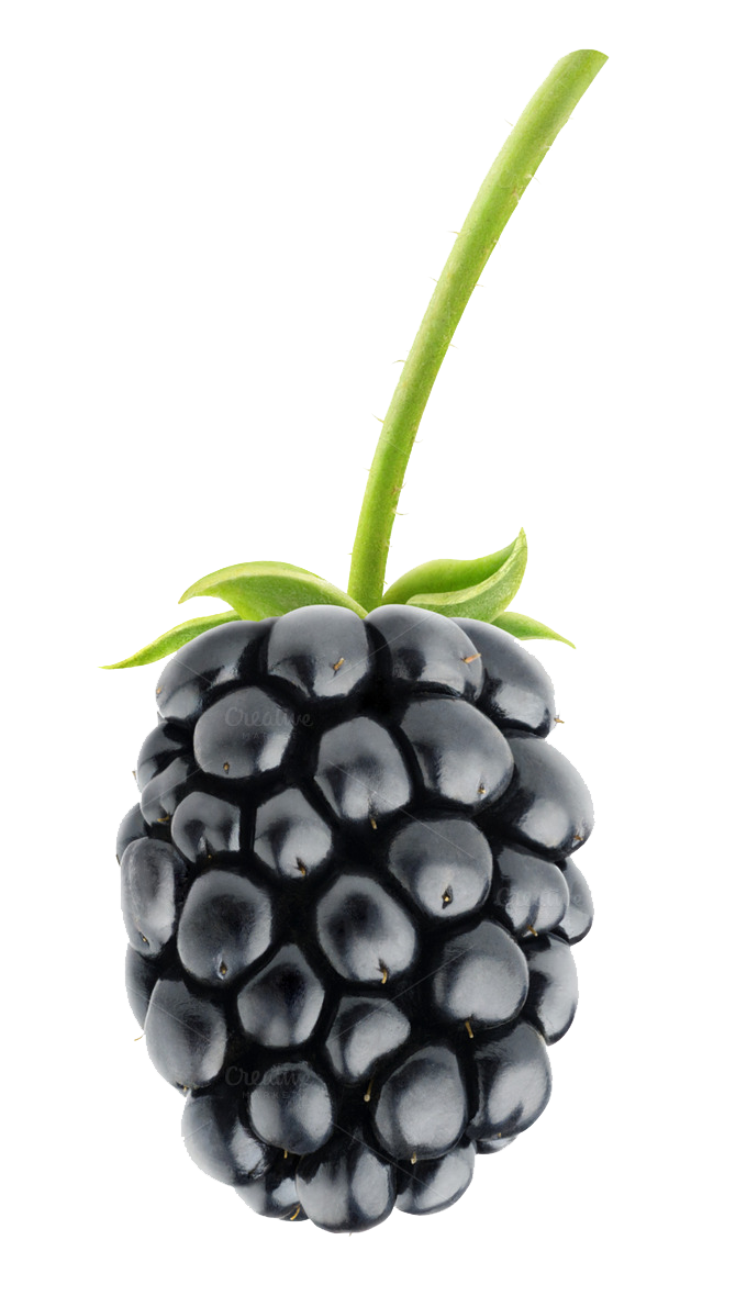 Blackberry Fruit Png Pic Transparent PNG Image