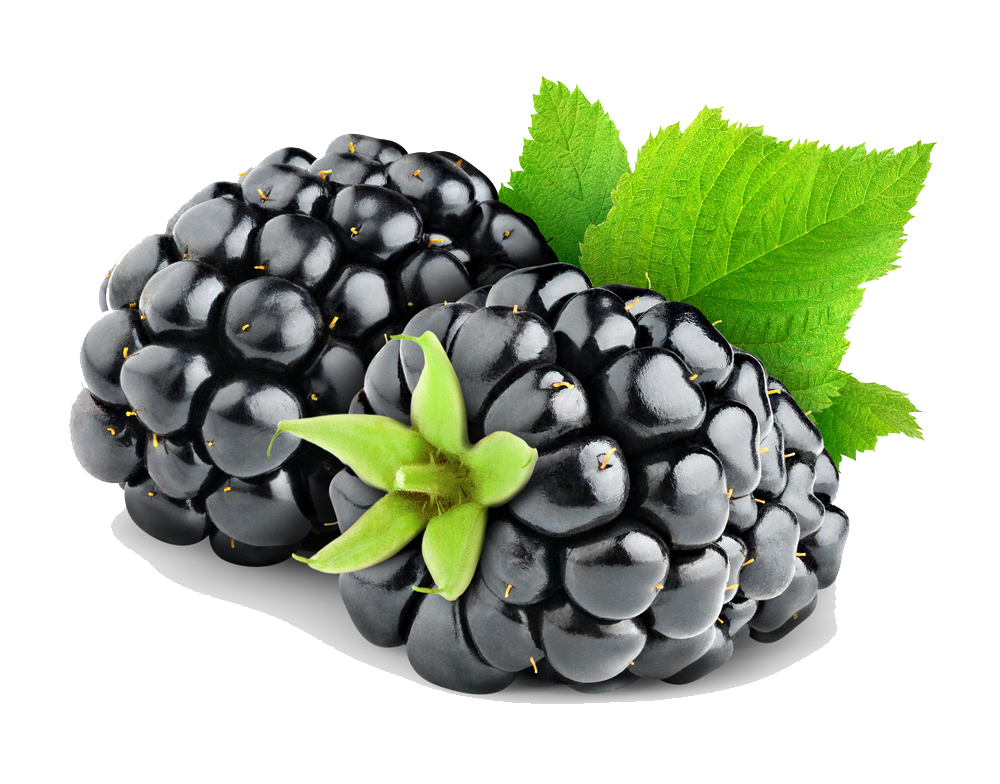 Blackberry Fruit Png Hd Transparent PNG Image