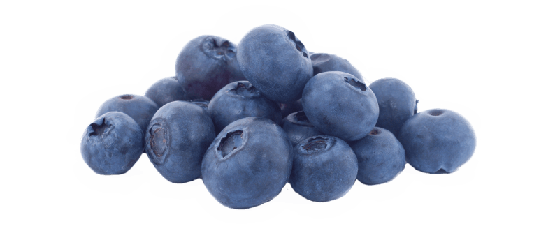 Blueberry Transparent PNG Image