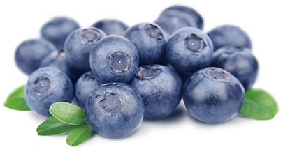 Blueberry Hd Transparent PNG Image