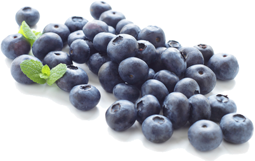 Blueberry Clipart Transparent PNG Image