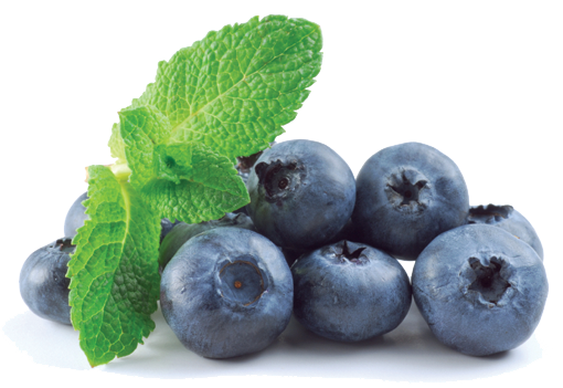 Blueberry Transparent Transparent PNG Image