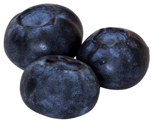 Blueberry Picture Transparent PNG Image