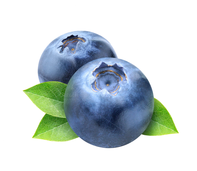 Blueberry Photos Transparent PNG Image