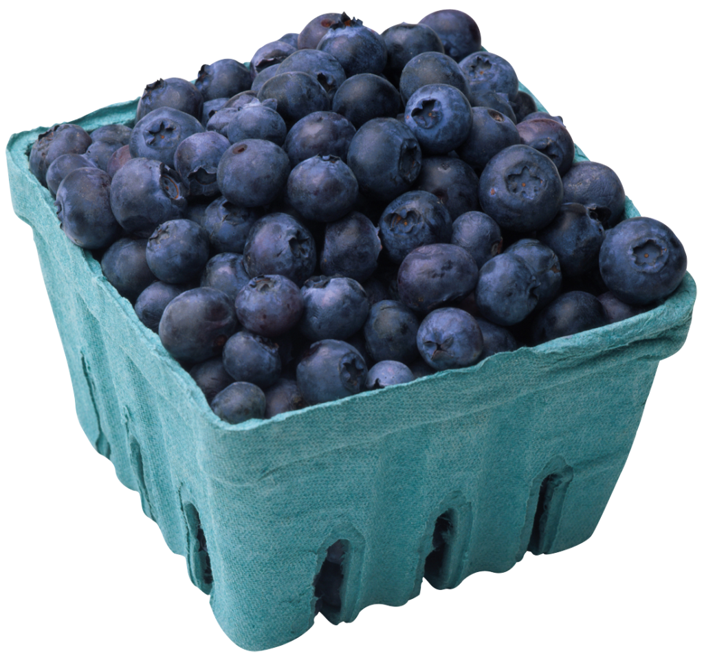 Blueberry Image Transparent PNG Image