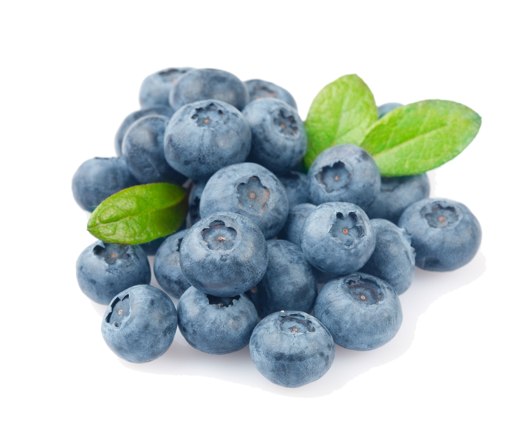 Blueberry Photo Transparent PNG Image