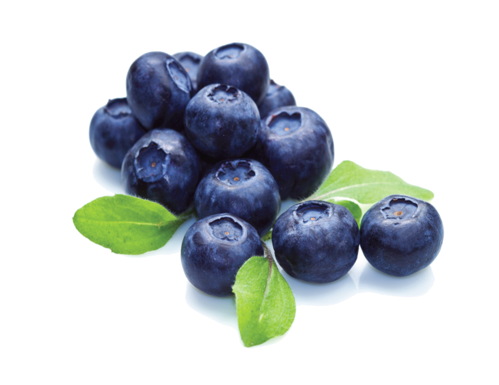 Blueberry File Transparent PNG Image