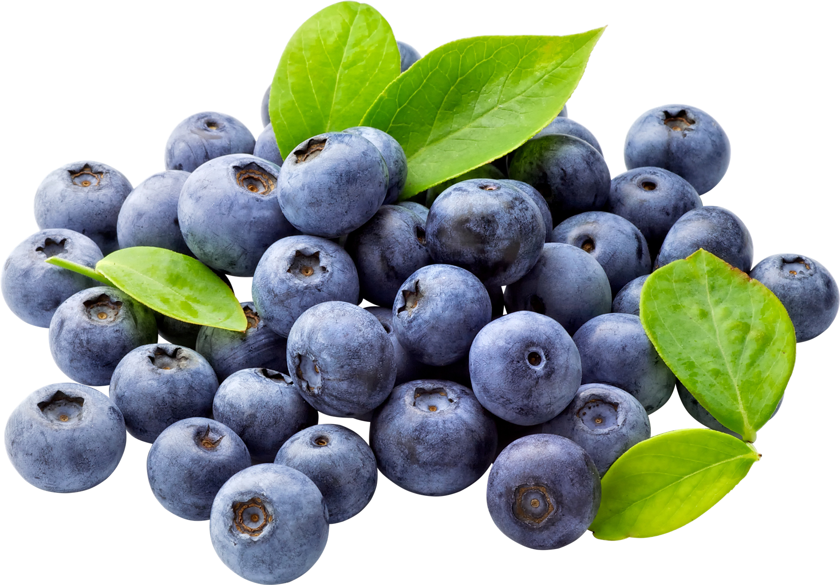 Blueberry Free Download Transparent PNG Image