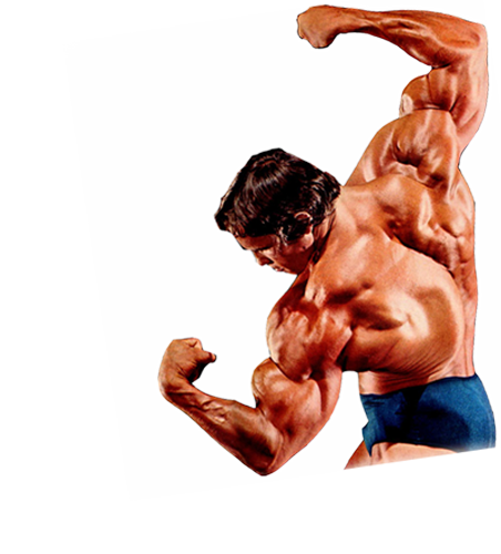 Bodybuilding Transparent Background Transparent PNG Image