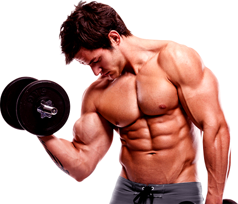 Bodybuilding Hd Transparent PNG Image