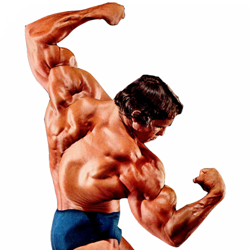 Bodybuilding Image Transparent PNG Image