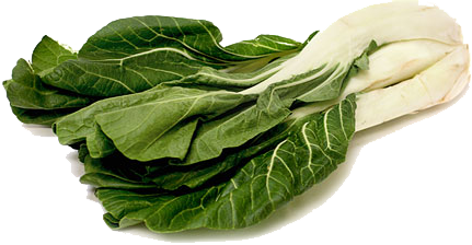 Bok Choy File Transparent PNG Image