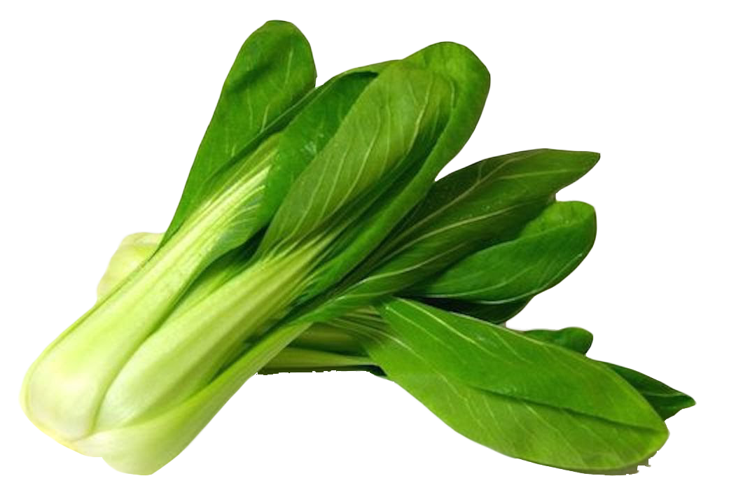 Bok Choy Transparent PNG Image