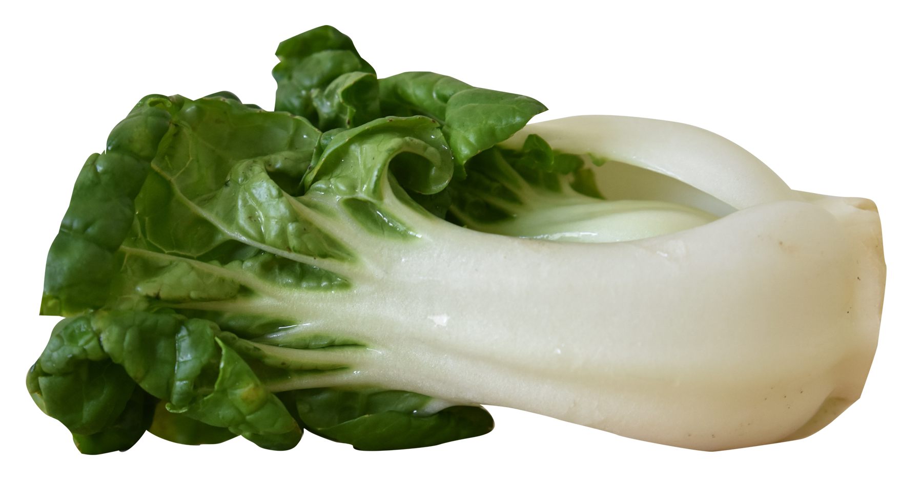 Bok Choy Hd Transparent PNG Image