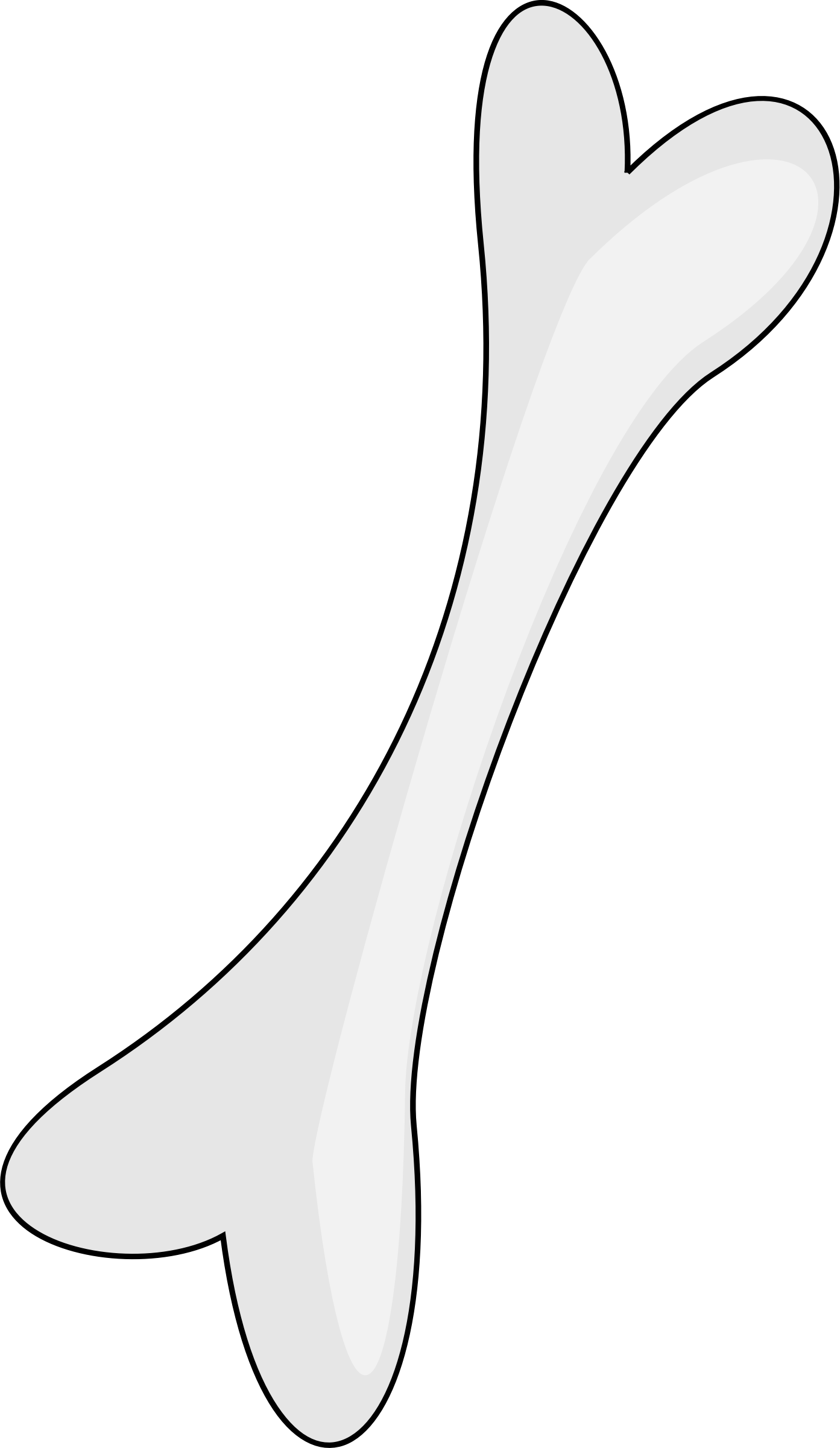 Bone Transparent Transparent PNG Image