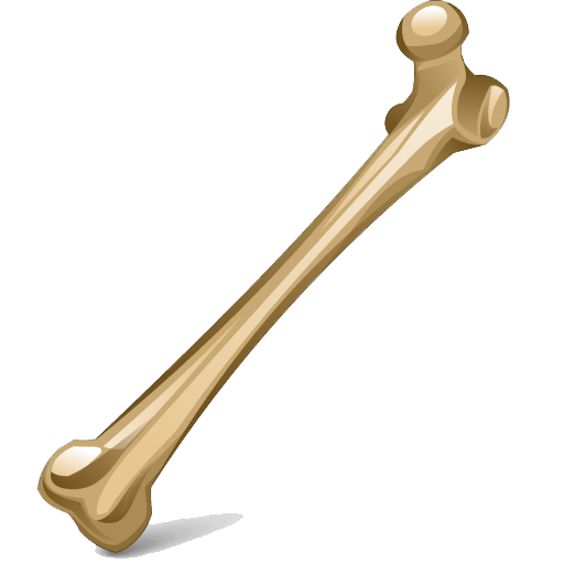 Bone Png Image Transparent PNG Image