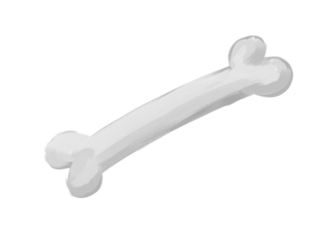 Bone Picture Transparent PNG Image