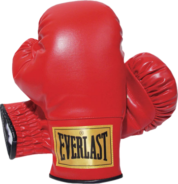 Boxing Gloves Png Hd Transparent PNG Image