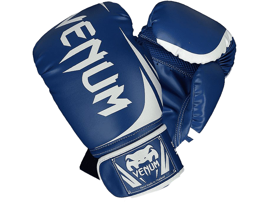 Gloves Boxing Venum Picture Free Clipart HD Transparent PNG Image