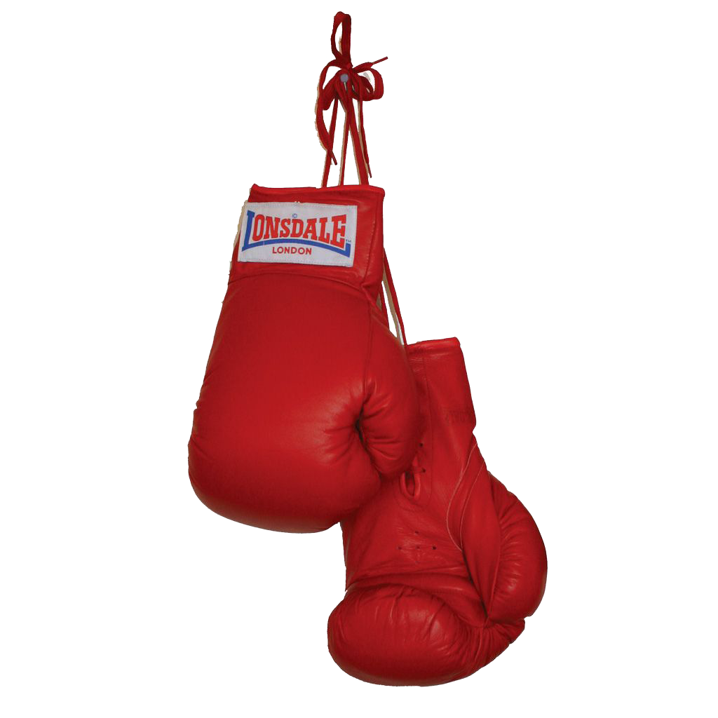 Boxing Gloves Download Png Transparent PNG Image