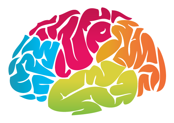 Brain Picture Transparent PNG Image