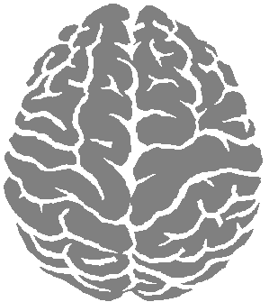 Brain Png Clipart Transparent PNG Image