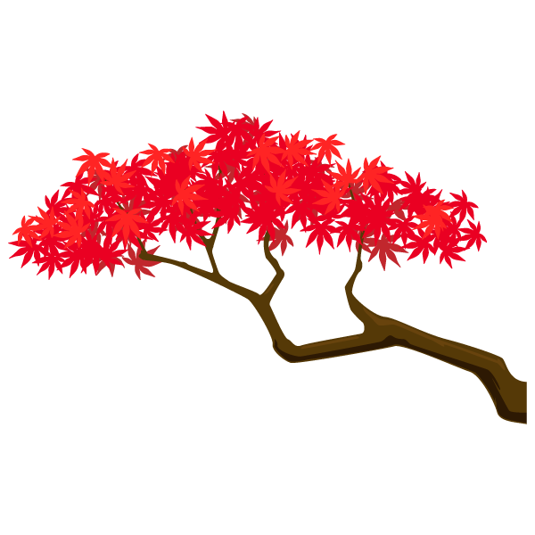 Plants Maple Tree Illustration Branch Free Clipart HD Transparent PNG Image