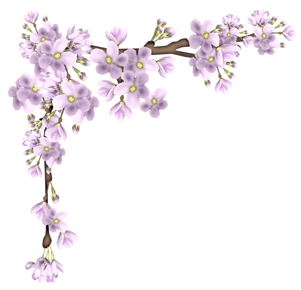 Cherry Floating Material Border PNG File HD Transparent PNG Image