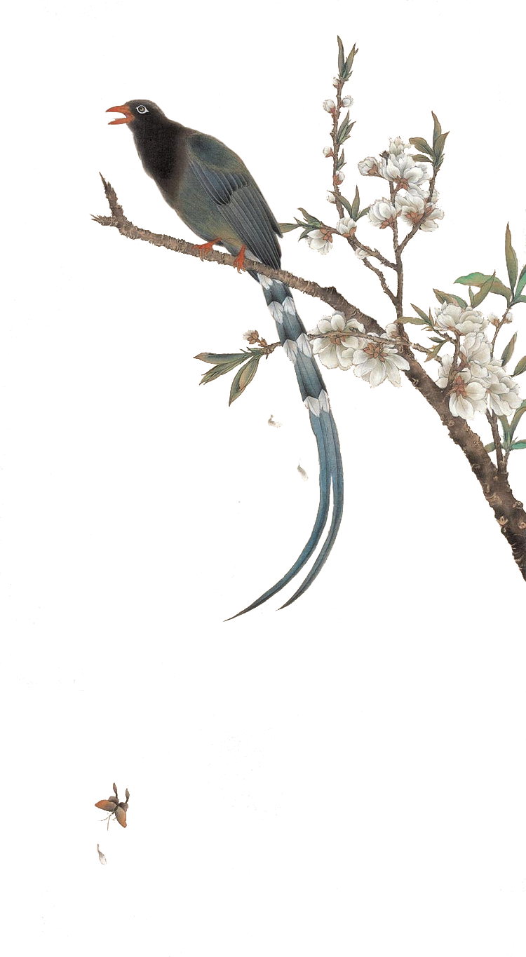 Twittering Arts Yixing Of University Tree Nanjing Transparent PNG Image