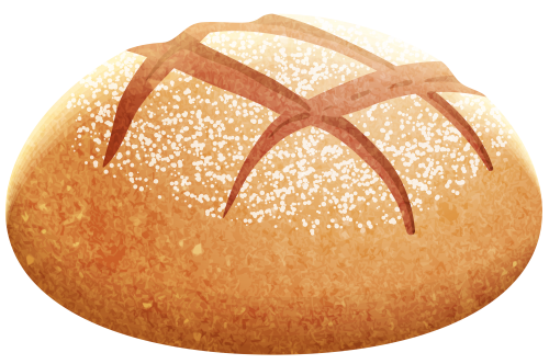 Vector Bun Bread Free Download Image Transparent PNG Image