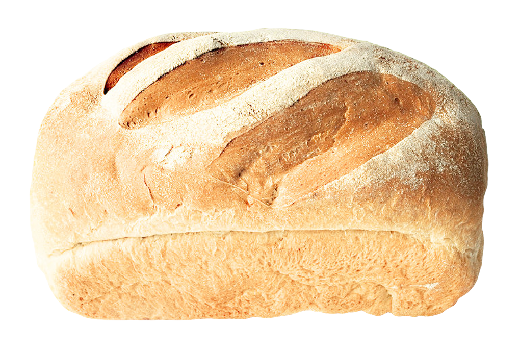 Vector Bun Bread Free Transparent Image HQ Transparent PNG Image