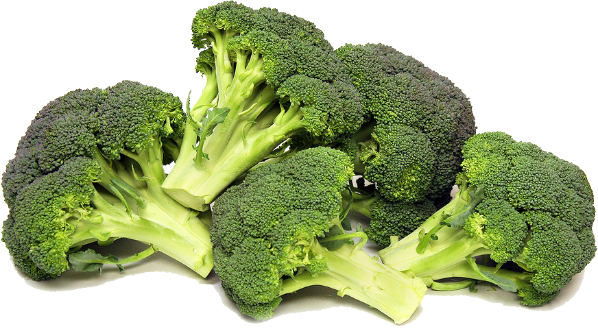 Broccoli Picture Transparent PNG Image