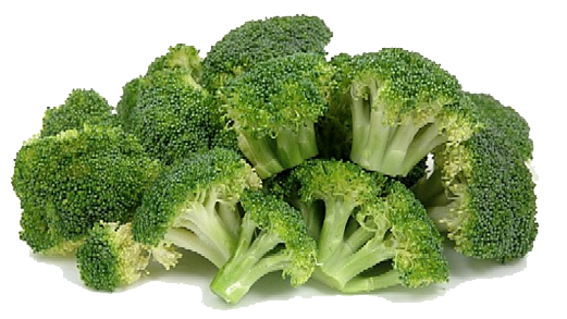 Broccoli File Transparent PNG Image