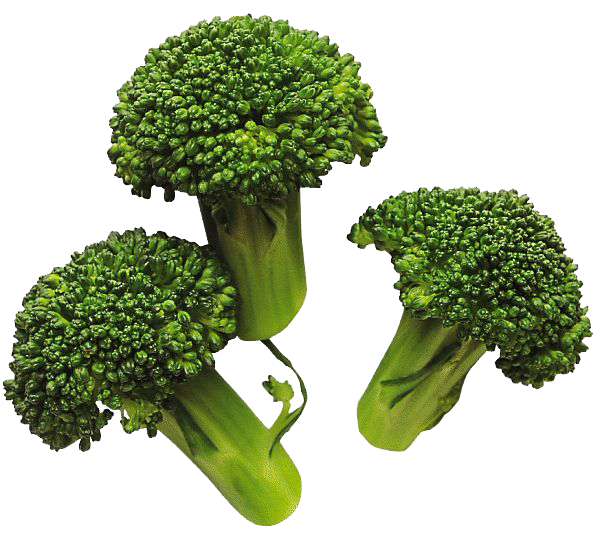 Broccoli Image Transparent PNG Image