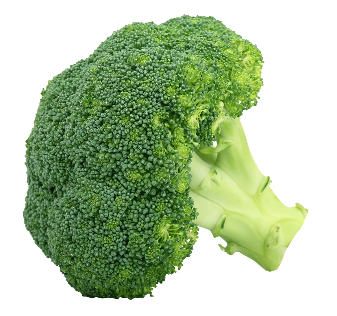 Broccoli Clipart Transparent PNG Image