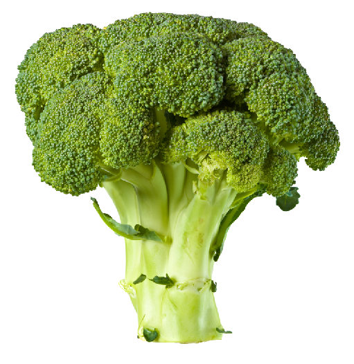 Broccoli Png Picture Transparent PNG Image