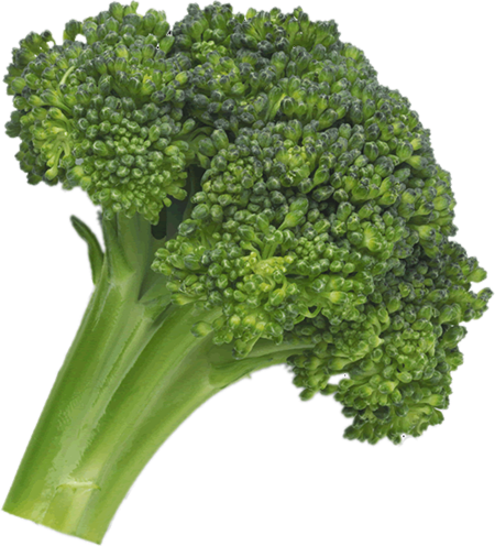 Broccoli Png Image Transparent PNG Image