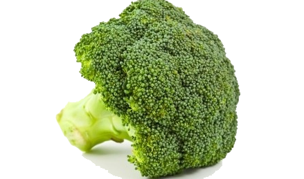 Broccoli Png Clipart Transparent PNG Image