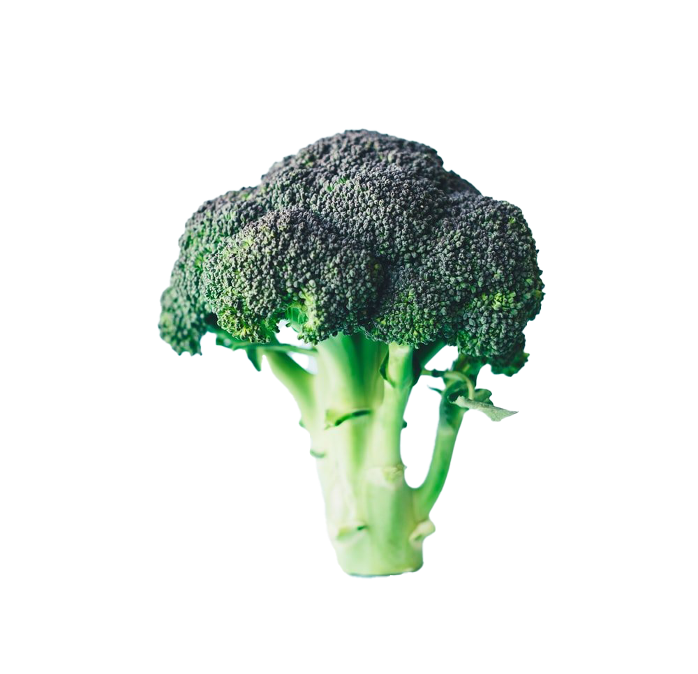 Green Broccoli Free Photo Transparent PNG Image