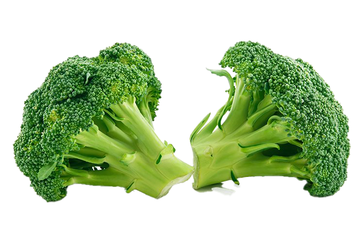 Green Broccoli PNG File HD Transparent PNG Image