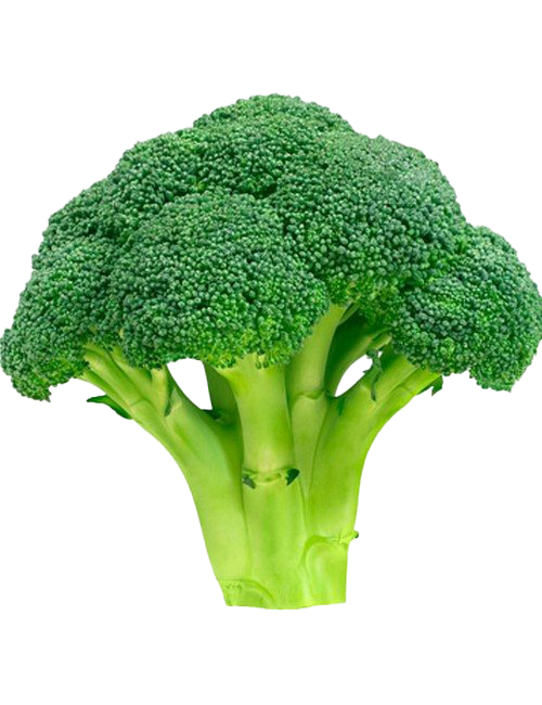 Green Broccoli HD Image Free Transparent PNG Image