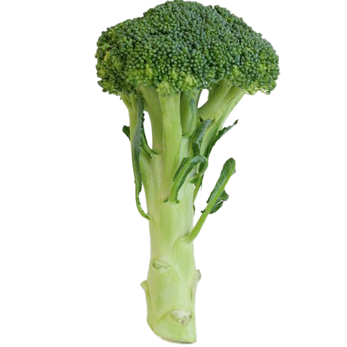 Green Broccoli HD Image Free Transparent PNG Image