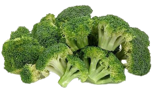 Green Broccoli PNG Free Photo Transparent PNG Image