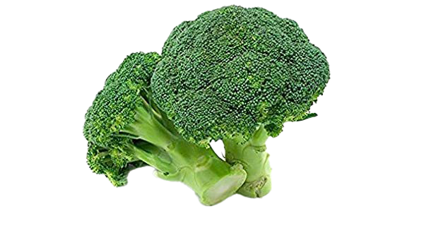 Photos Green Broccoli Download Free Image Transparent PNG Image