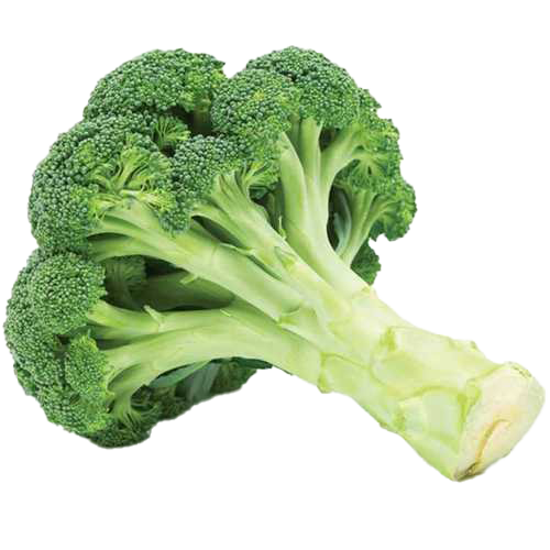 Pic Green Broccoli PNG Image High Quality Transparent PNG Image