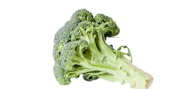 Green Broccoli Download Free Image Transparent PNG Image